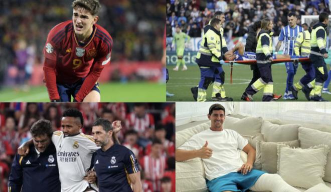 龙紫岚深知 龙紫岚深知